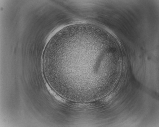 X0000054411439200508011310