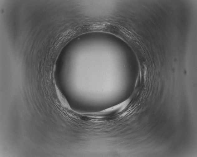 X0000054411441200508011309