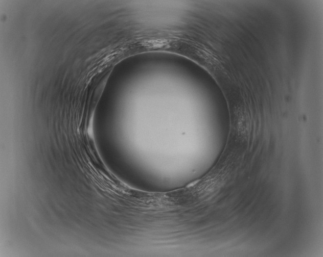 X0000054411442200508011309