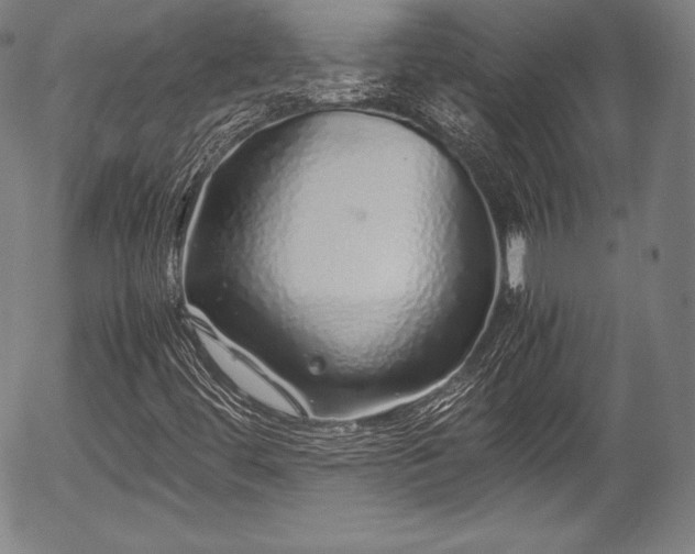X0000054411444200508011309