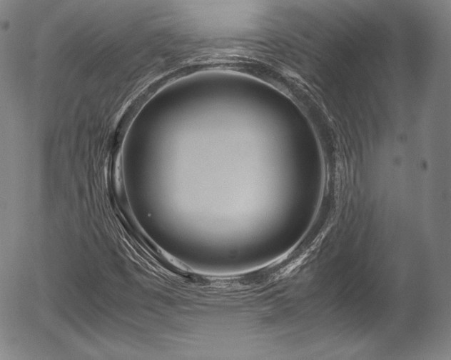 X0000054411449200508011309