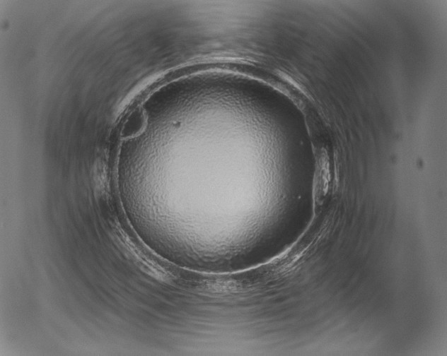 X0000054411452200508011309