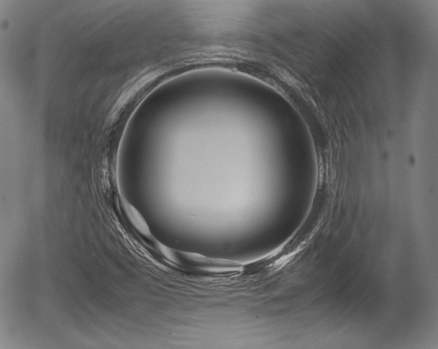 X0000054411453200508011309