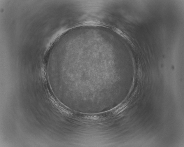 X0000054411454200508011309