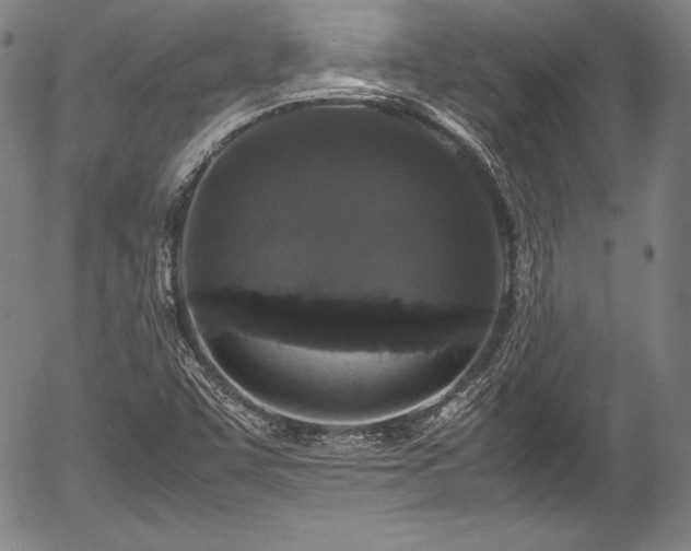 X0000054411455200508011309