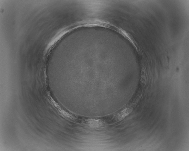 X0000054411456200508011309