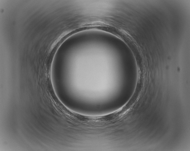 X0000054411457200508011309