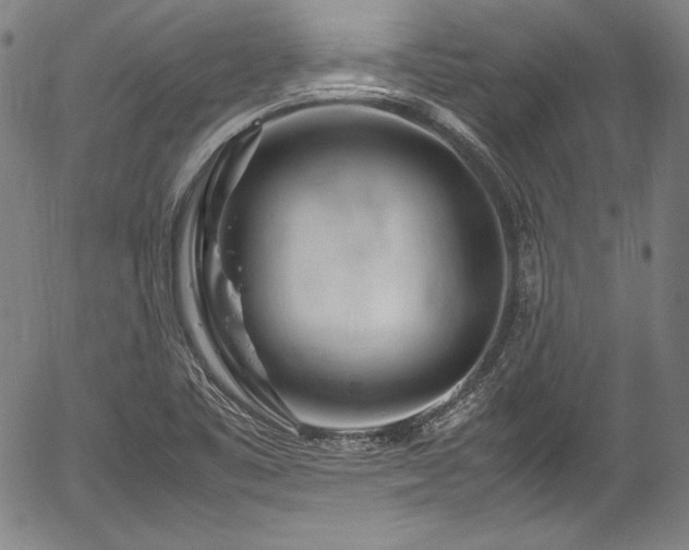 X0000054411461200508011309