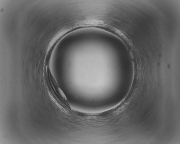 X0000054411469200508011309