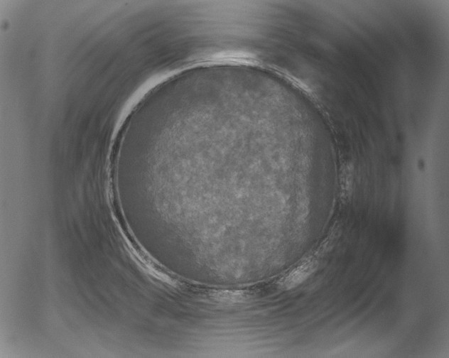 X0000054411470200508011309
