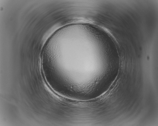 X0000054411476200508011309