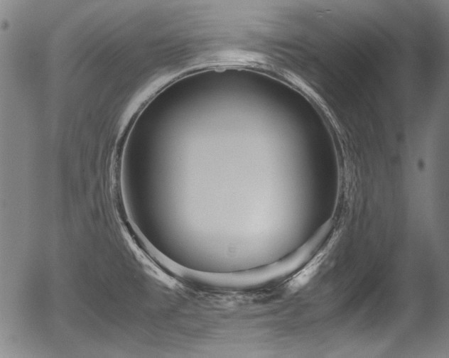 X0000054411477200508011309