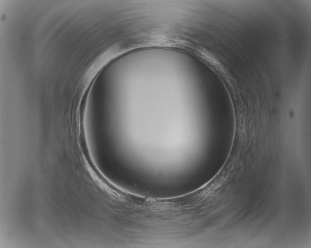 X0000054411479200508011309