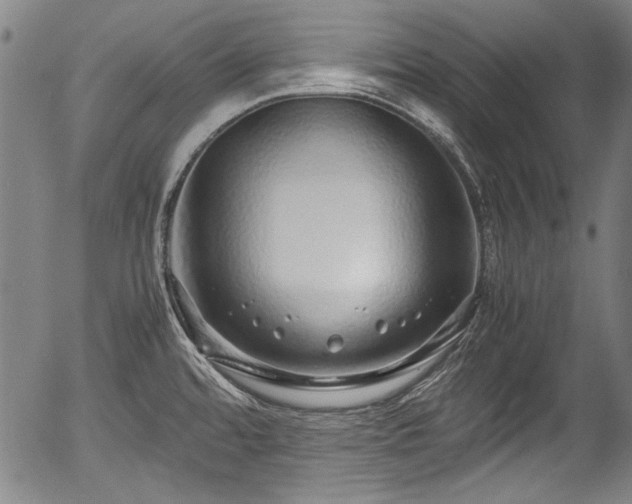 X0000054411480200508011309