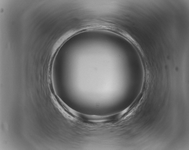 X0000054411485200508011309
