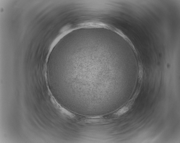 X0000054411486200508011309