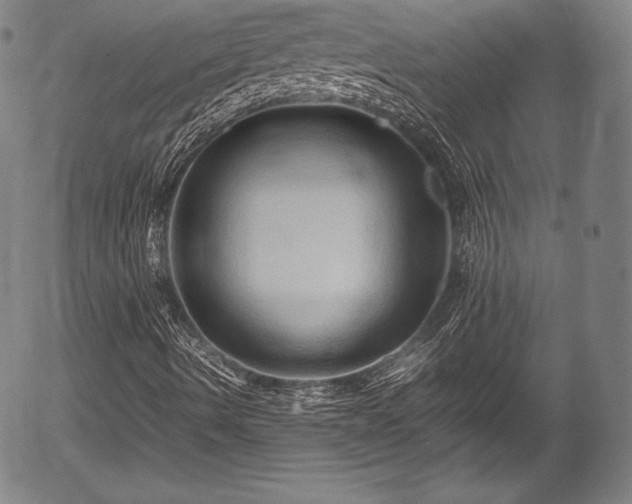 X0000054411490200508011308