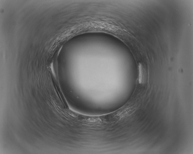 X0000054411491200508011308