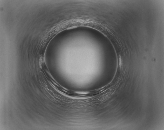X0000054411492200508011308