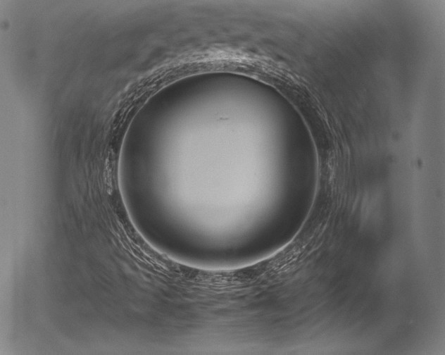 X0000054411493200508011308
