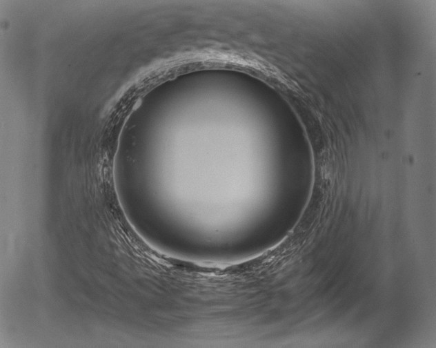 X0000054411495200508011308