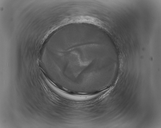 X0000054411497200508011308