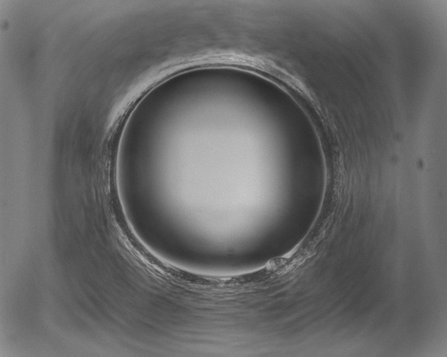 X0000054411504200508011308