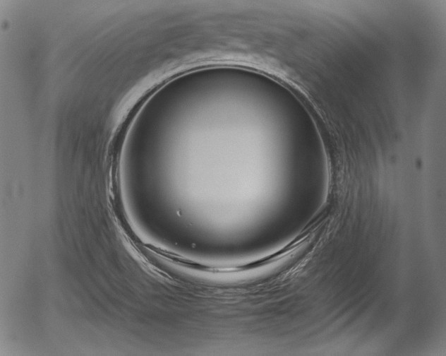 X0000054411511200508011308