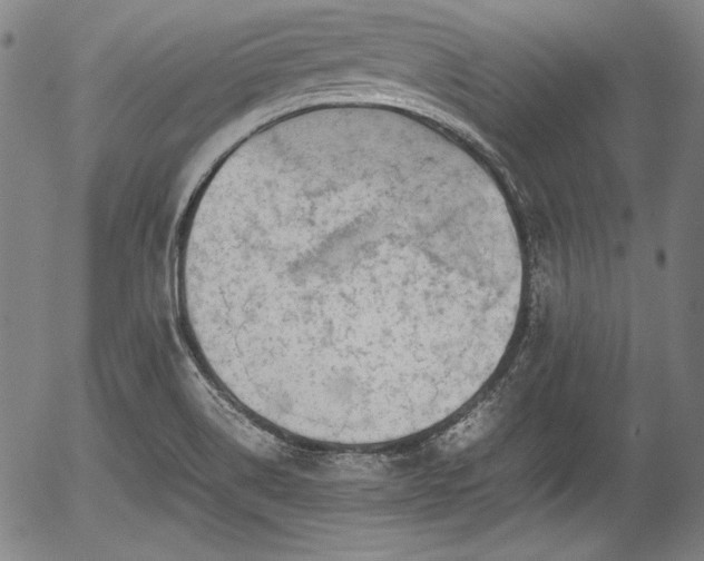 X0000054411514200508011308
