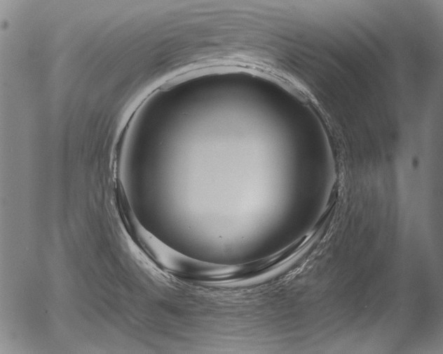 X0000054411524200508011308