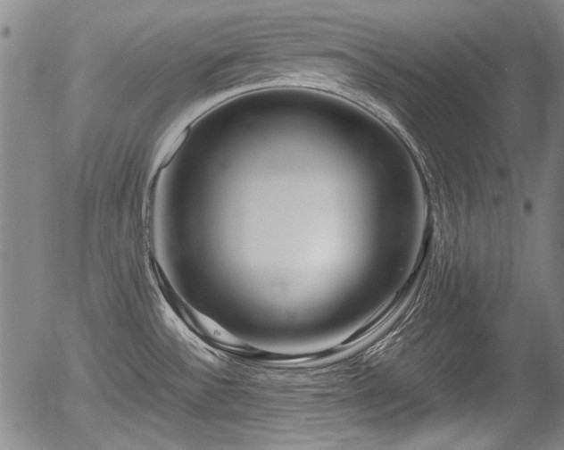 X0000054411532200508011309