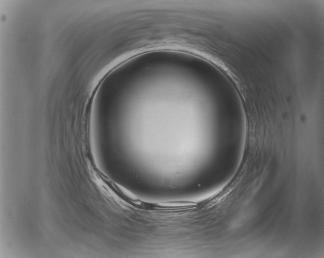 X0000054411534200508011309