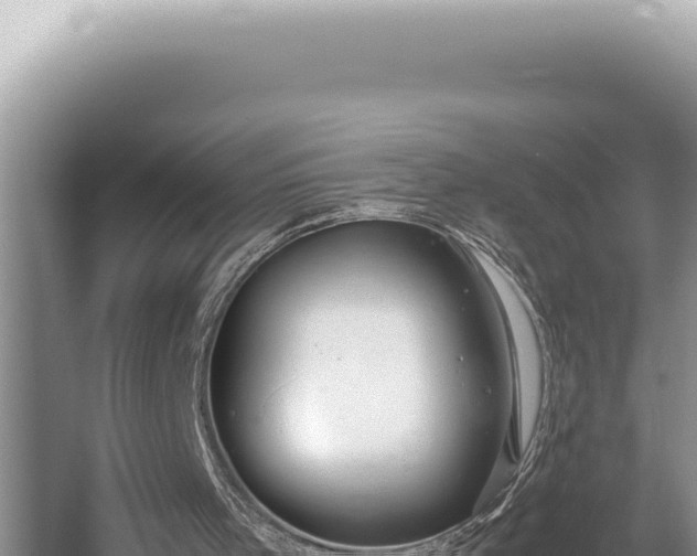 X0000054410001200508051752