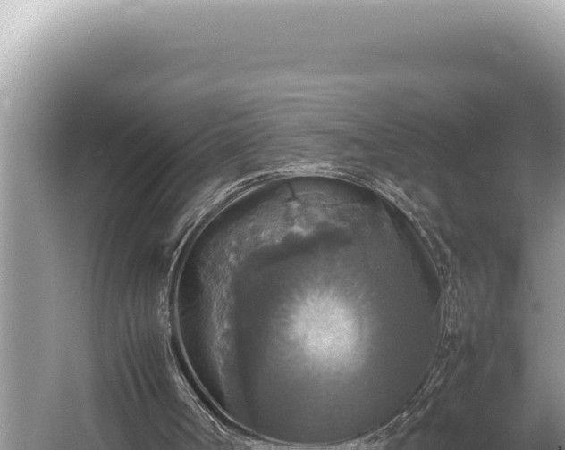 X0000054410002200508051752