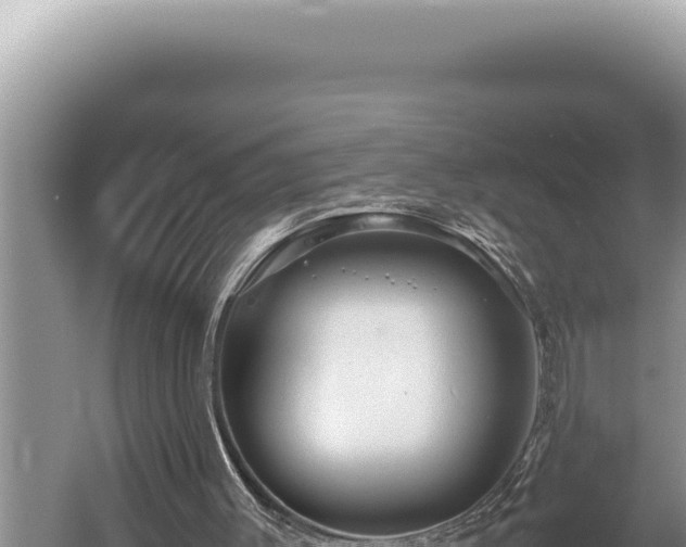 X0000054410003200508051752