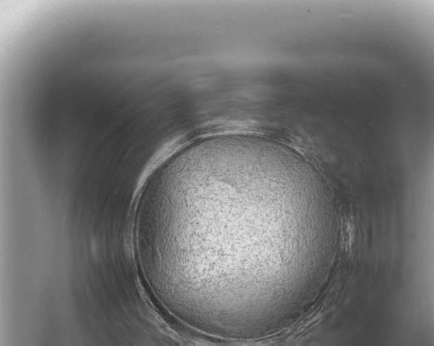 X0000054410004200508051752