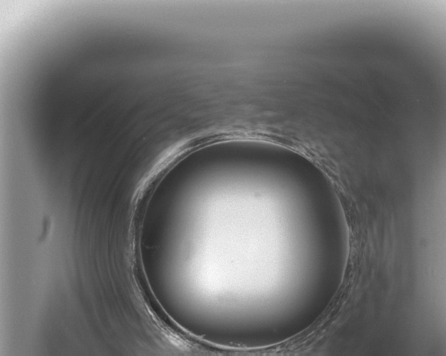 X0000054410005200508051752