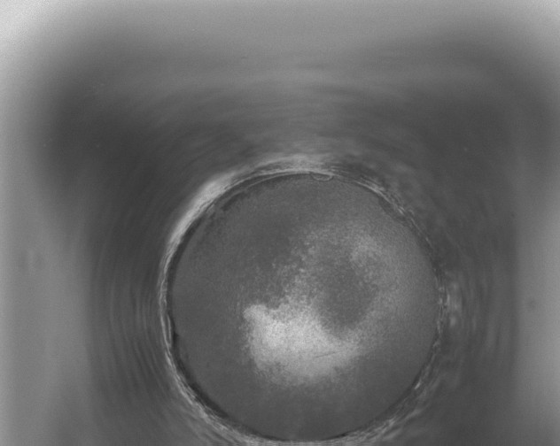 X0000054410006200508051752