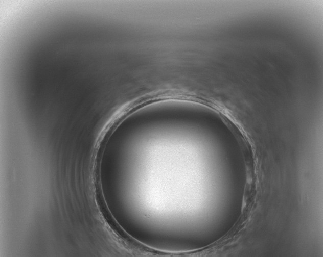 X0000054410007200508051752