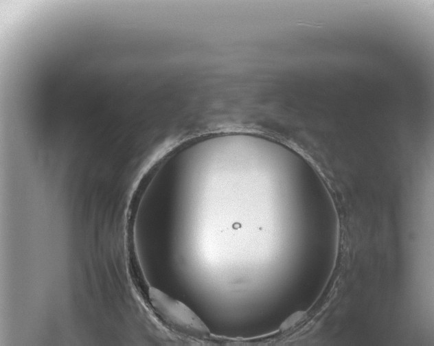 X0000054410008200508051752