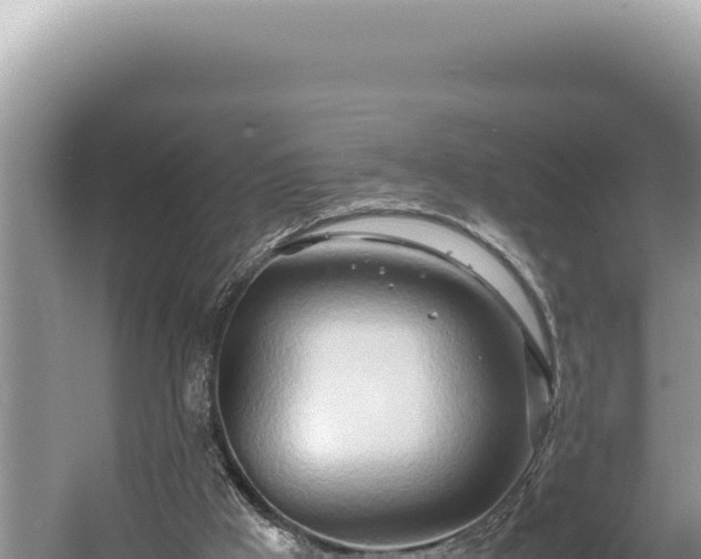 X0000054410009200508051752