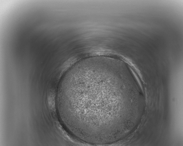 X0000054410010200508051752