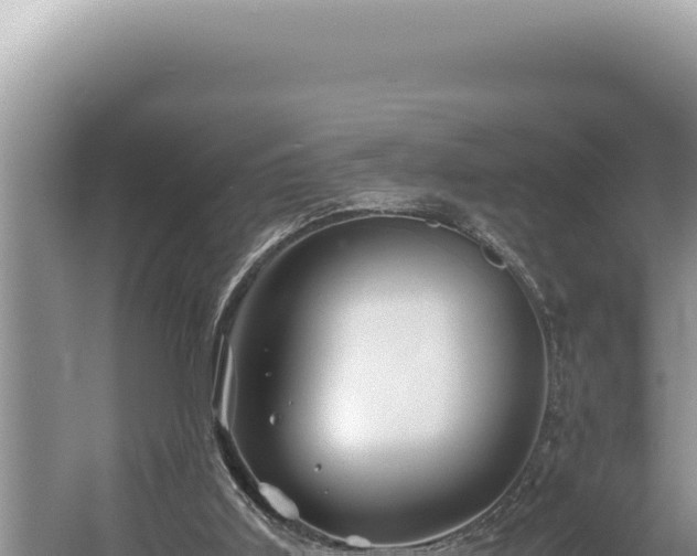 X0000054410011200508051752