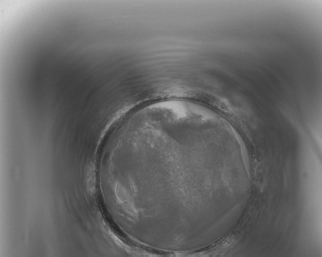 X0000054410012200508051752