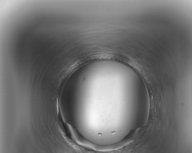 X0000054410013200508051752