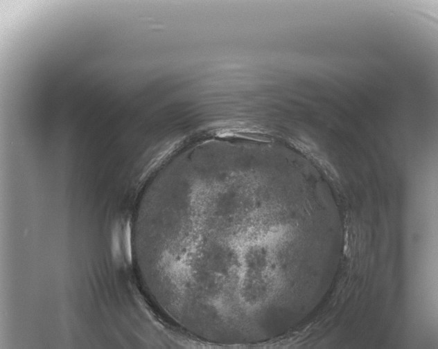 X0000054410014200508051752