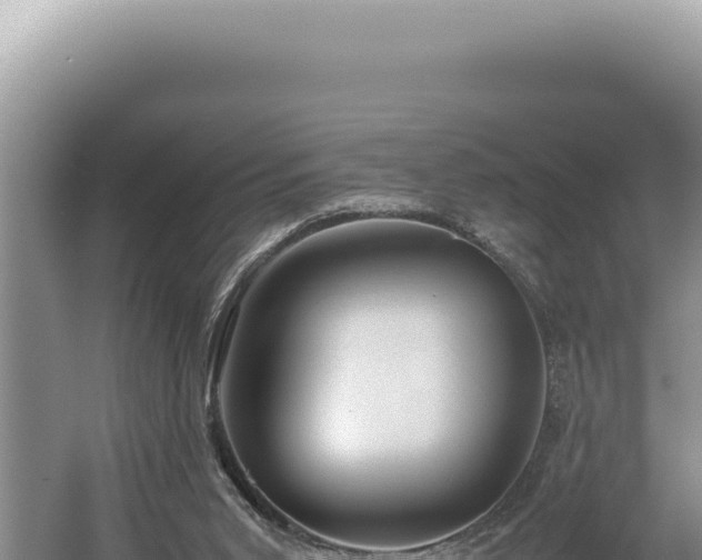 X0000054410015200508051751