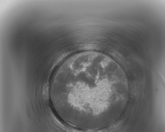 X0000054410016200508051751