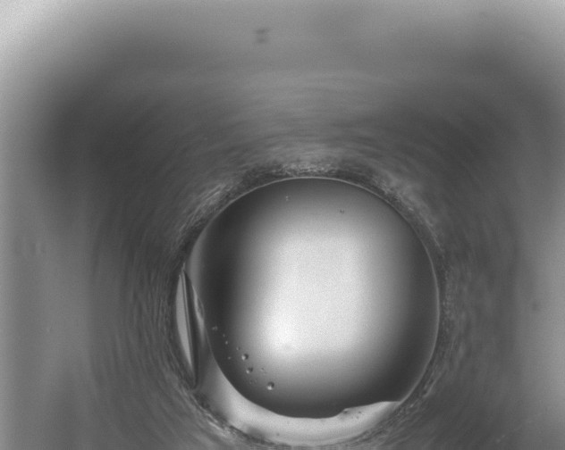 X0000054410017200508051751