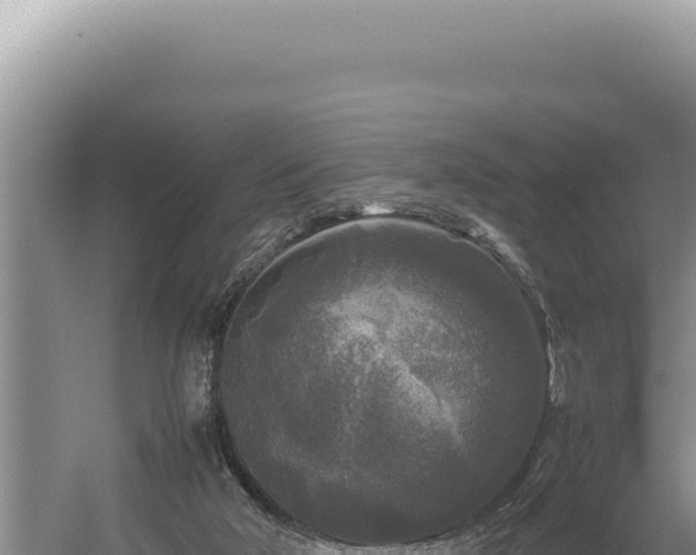 X0000054410018200508051751